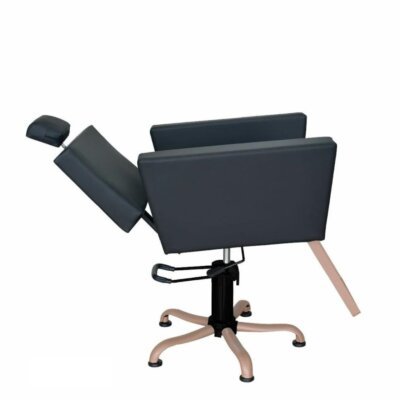 Cadeira de Cabeleireiro Niágara Reclinável e Base Rosé Cadeira de Cabeleireiro Niágara Reclinável e Base Rosé