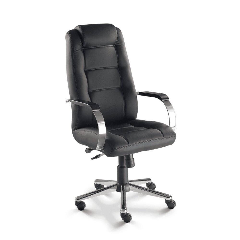 WhatsApp Image 2025-10-28 at 17.26.23 (18) Cavaletti Prime - Cadeira para escritório Presidente Giratória 20101