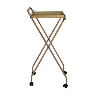 Carrinho de tintura Kolor Dourado - PRONTA ENTREGA Carrinho de tintura Kolor Dourado - PRONTA ENTREGA